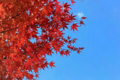 冬将軍到来？！